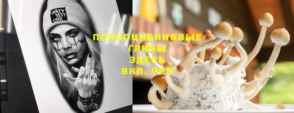 2c-b Арсеньев