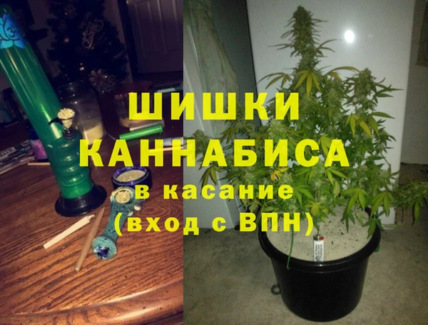прущие крисы Гусев