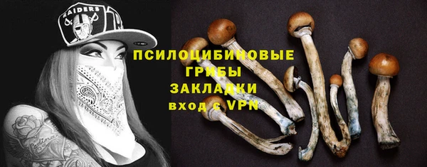 мяу мяу мука Армянск
