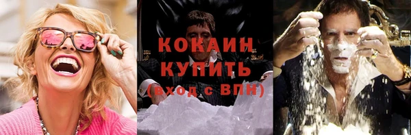 тгк Аркадак