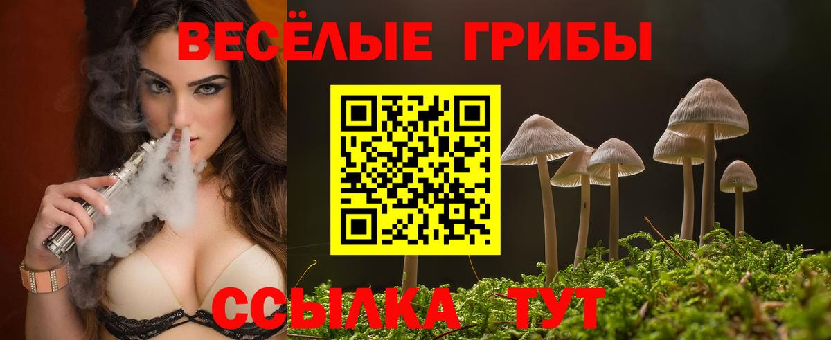продажа наркотиков  Вход с VPN  Сибай  Псилоцибиновые грибы прущие грибы 